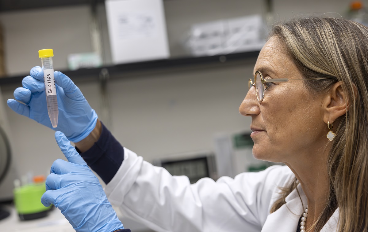Dr. Giselle Sholler in her lab at Penn State College of Medicine on Wednesday, August 7, 2024.